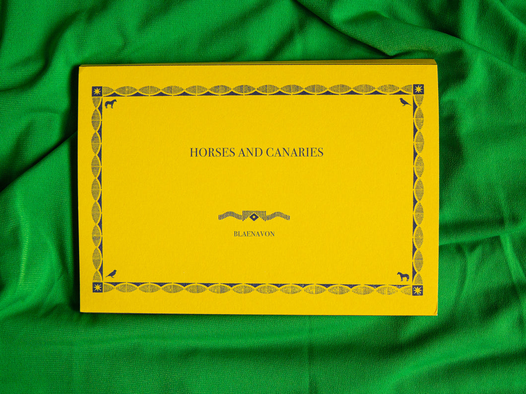 Horses and Canaries - Robert Zhao Renhui